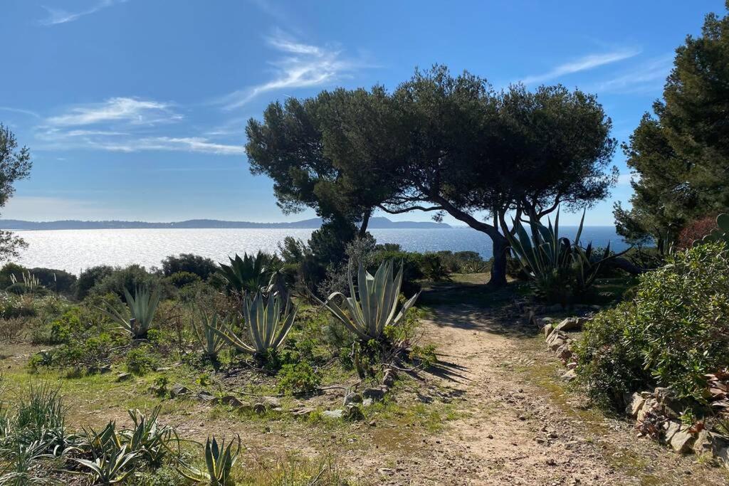 + Terrasse Vue Dans Un Parc De 3 Ha Hyères