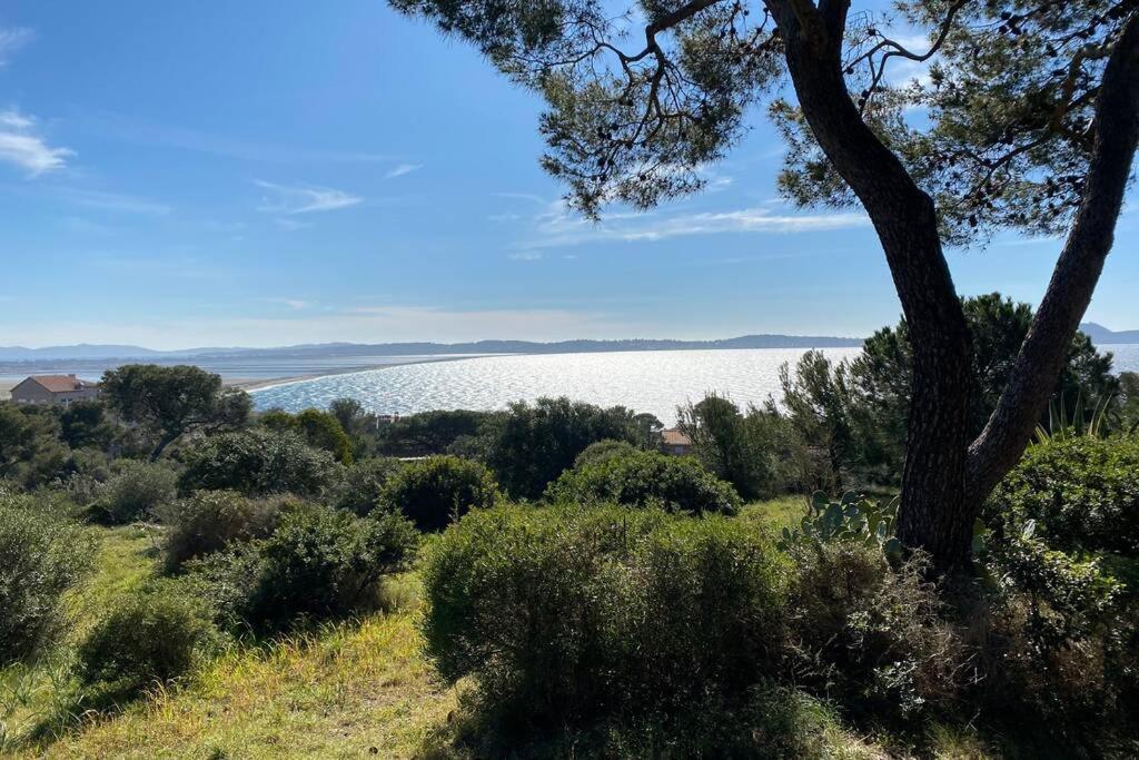 + Terrasse Vue Dans Un Parc De 3 Ha Hyères